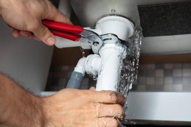 Best Water damage mitigation services  in North Bend, WA