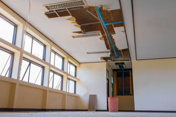 Best Ceiling water damage repair  in North Bend, WA