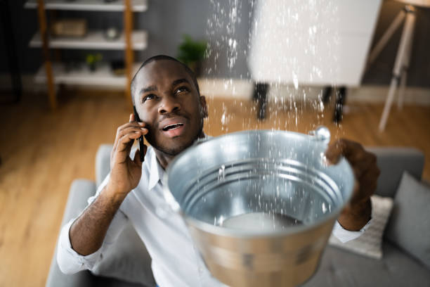 Best Water damage contractors near me  in North Bend, WA