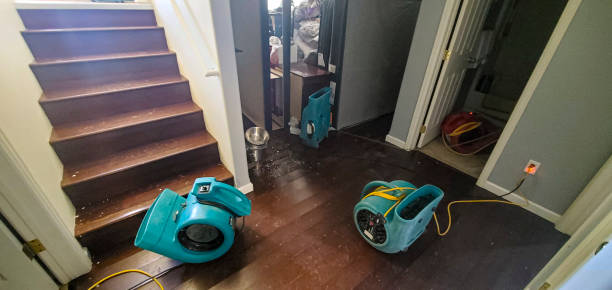 Best Basement water damage restoration  in North Bend, WA