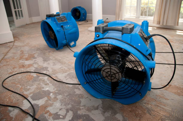 Best Emergency water damage restoration  in North Bend, WA