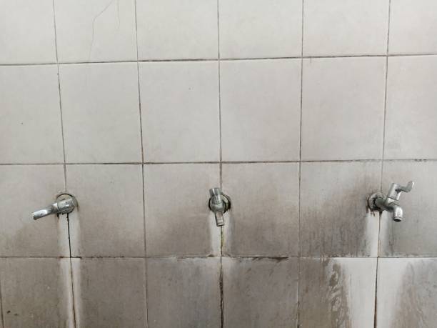 Best Water damage cleanup near me  in North Bend, WA
