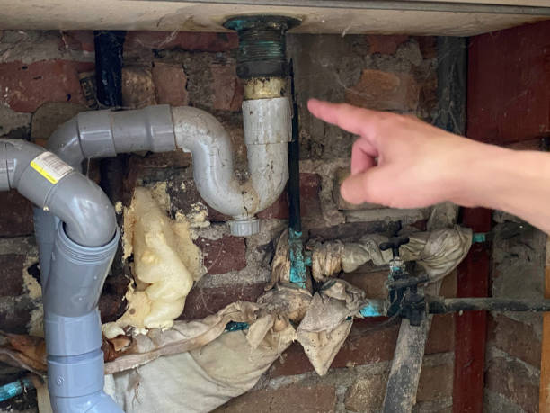Best Flood damage cleanup  in North Bend, WA
