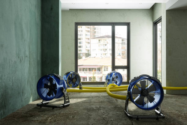 Water damage restoration process in North Bend, WA